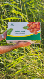 تمر سكري القصيم - Image 7