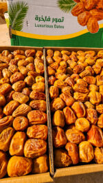 سكري مفتل سعودي 3كجم