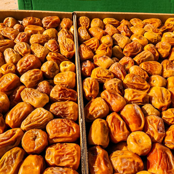 سكري مفتل سعودي 3كجم